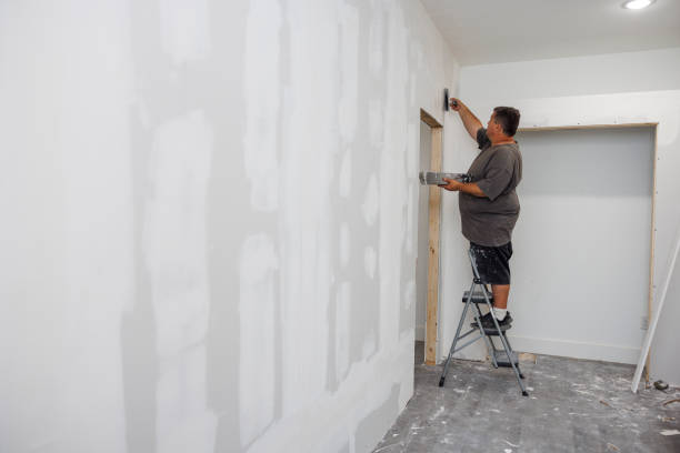 Best Basement Mold Removal  in West Modesto, CA