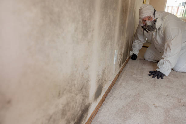 Best Comprehensive Air Testing for Mold Contaminants  in West Modesto, CA