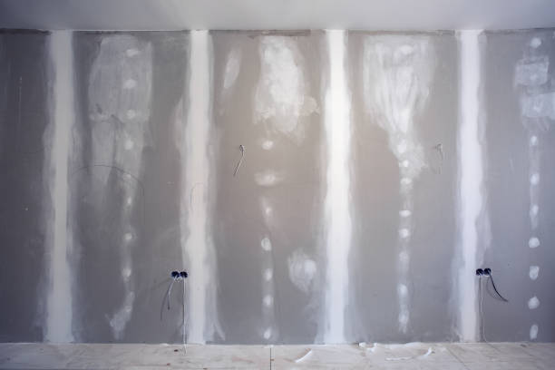 Best Mold Removal for HVAC Installations  in West Modesto, CA